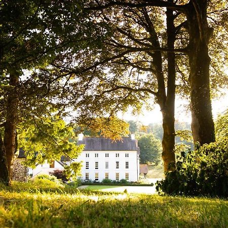 Grove Of Narberth Hotel ภายนอก รูปภาพ