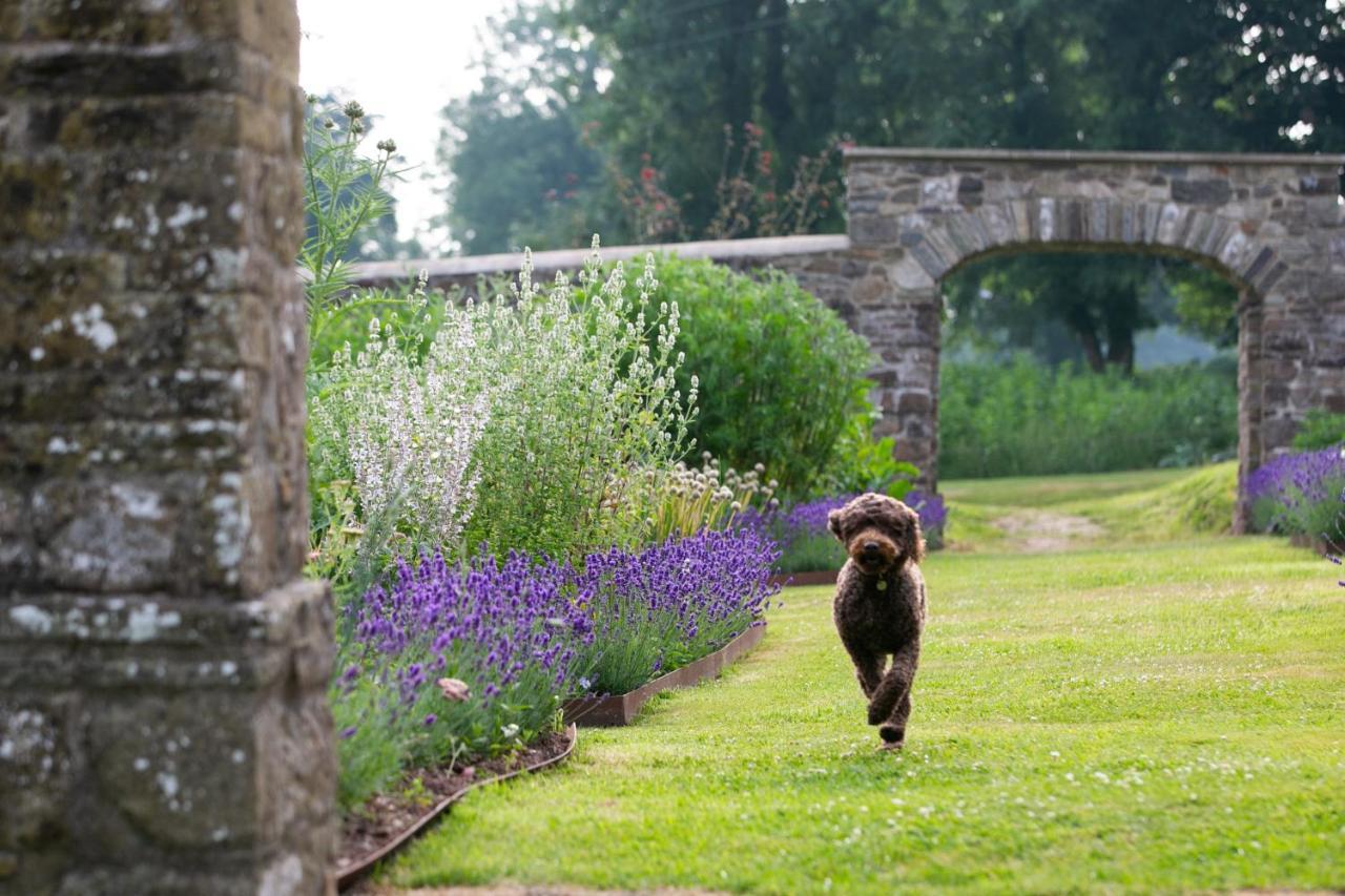 Grove Of Narberth Hotel ภายนอก รูปภาพ